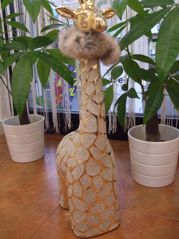 DSCF0923.jpg
